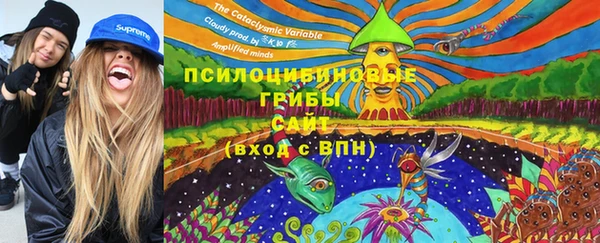 хмурый Алексеевка