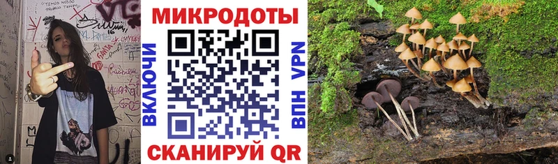 Галлюциногенные грибы прущие грибы  Алушта 